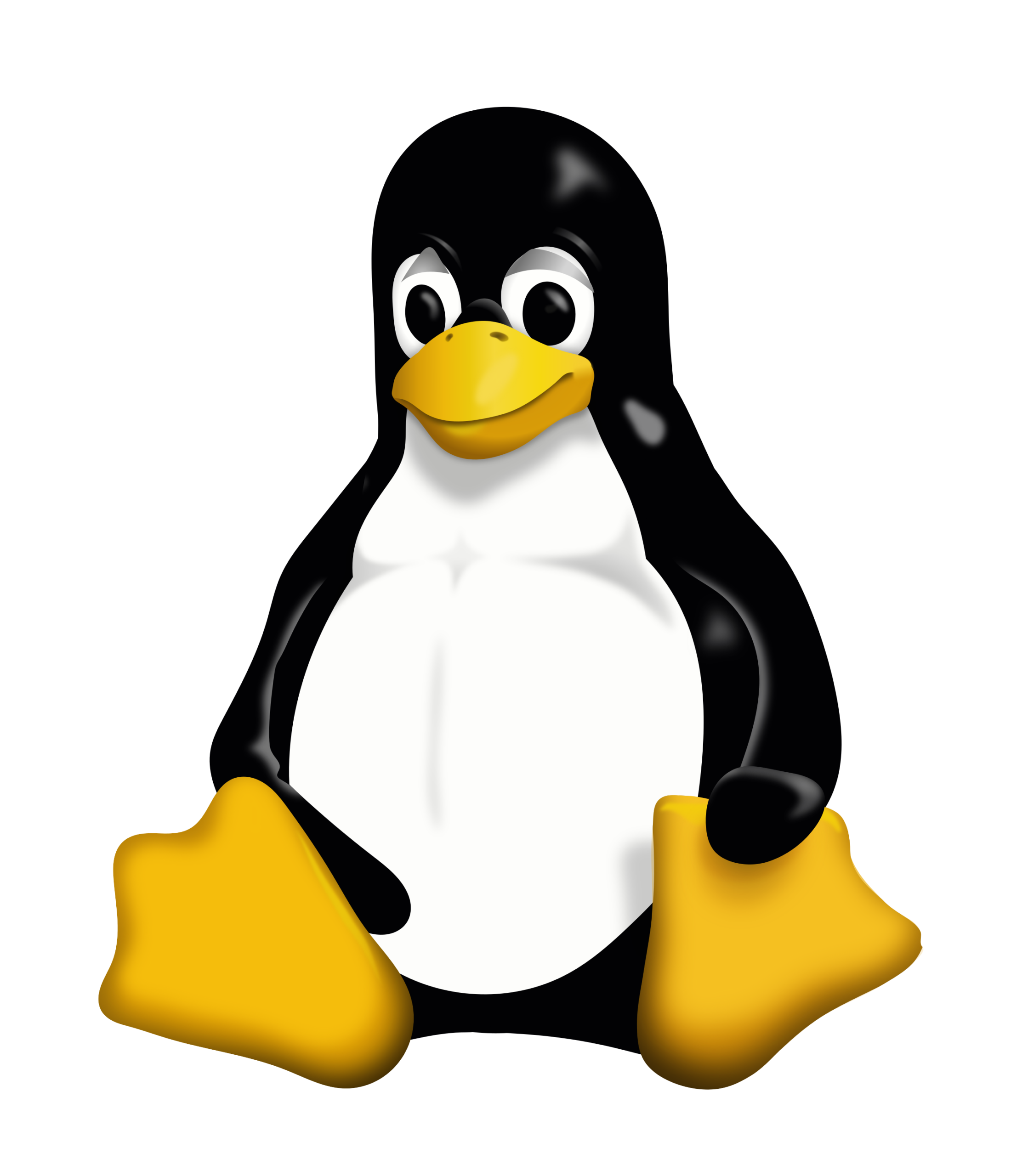 No ALT text found